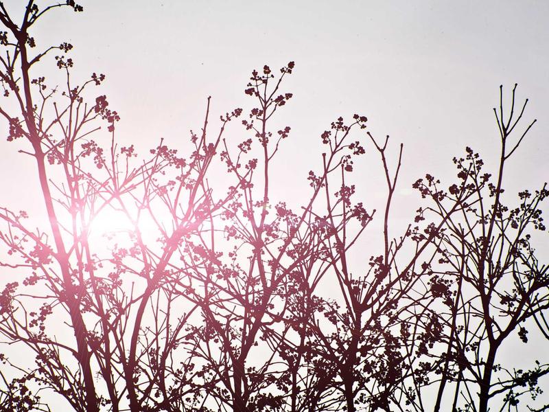 android screenshot 4