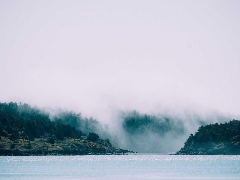 community screenshot 1